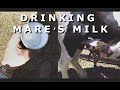 DRINKING MARE S MILK RJF