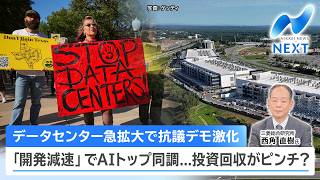 データセンター急拡大で抗議デモ激化 「開発減速」でAIトップ同調...投資回収がピンチ？【NIKKEI NEWS NEXT】