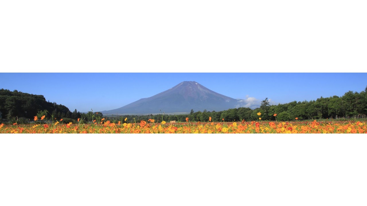 「箱根遊船 大茶会」ライブカメラ / Live camera ”DAICHAKAI”(Hakone Cruise Ship)