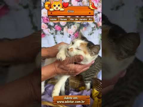 Vídeo de Elisa