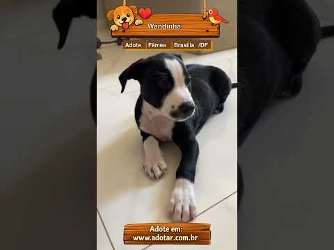 Vídeo de Wandinha 