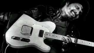 Albert Collins ~ &#39;&#39;When The Welfare Turns Its Back On You&#39;&#39;(Modern Electric Blues 1978)