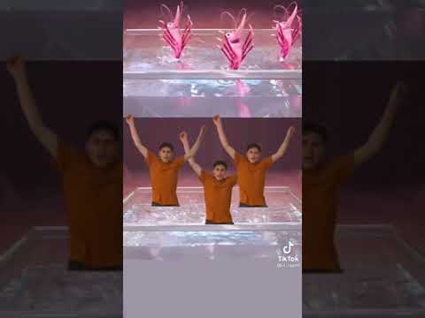 Sing 1 Auditions 😏