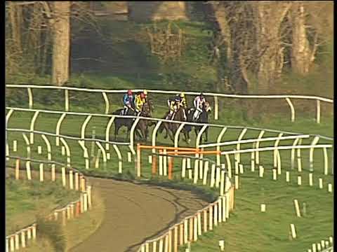 Galoppo 13/02/2018 - 3ª corsa