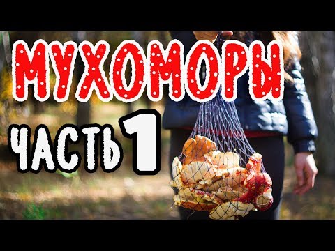 МУХОМОРЫ: подготовка и употребление. ПЕРВЫЙ ОПЫТ!