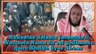 Download lagu Akkaataa Salaata Janaazaa fi Wantoota Nama du'eef godhamuu qabu sheikh ilyas Abbas mp3 Download lagu Akkaataa Salaata Janaazaa fi Wantoota Nama du'eef godhamuu qabu sheikh ilyas Abbas mp3