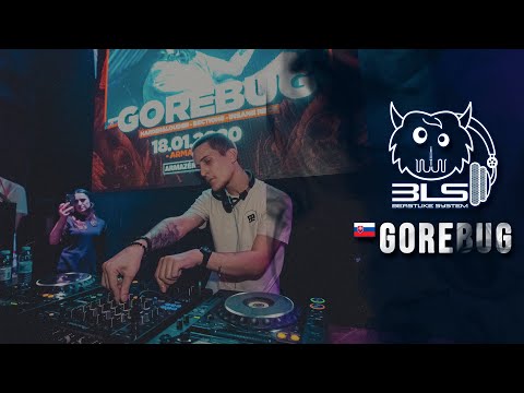 Gorebug (SVK) - @Insane Events 8th Anniv. [Beastlike System]