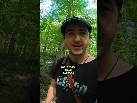 Some Things To Know Before Visiting Peru