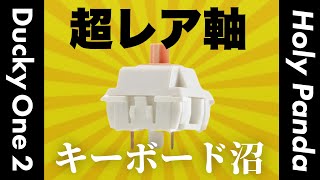 【超レア軸】「Ducky One 2 mini」を分解！憧れの「Holy Panda」軸へ【キーボード沼】
