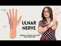 #125 Cubital tunnel syndrome - compression of the ulnar nerve at the elbow