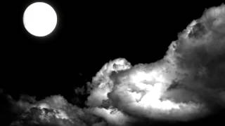 savage garden/you can still be free