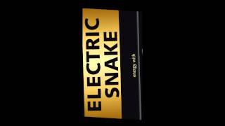 ELECTRIC SNAKE energy with DJ PIERRE .m2t