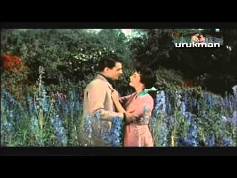 Shadia شاديه - اسمراني اللون