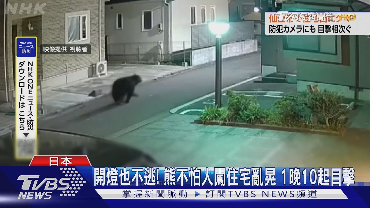 影音／日本又有熊出沒！再闖仙台住宅區　民眾嚇壞急躲家