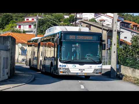 STCP 1114 (audio recording - collab)