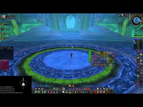 WoW #109 - Naxxramas 40 Man - Feral Druid - Kel'Thuzad / Retail Characters Flashback / MC Fun