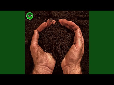 Intr-O Tara Indepartata