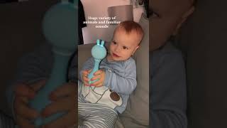 Download lagu His favourite toy recently.#alilo #infant #baby #babytoys #fyp mp3