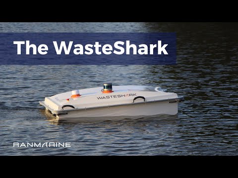 youtube video image