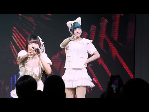 Mayuki Ikinari Tell Me - La viva Japan @Have a petpet's day&night super live 13.09.2025 [Fancam]