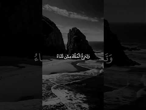 قران كريم بصوت الشيخ سيد سعيد