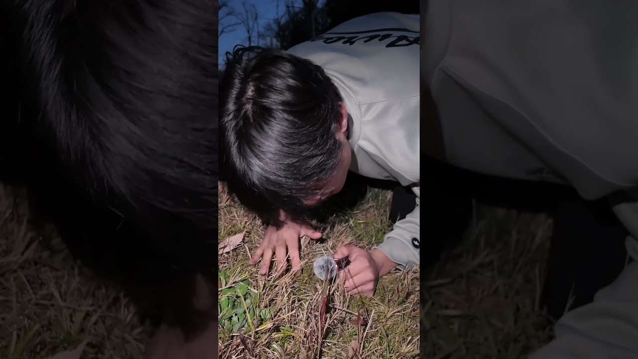 【羽田慎之介】芝生をタッピングしてみた　#羽田慎之介 #asmr