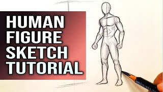 How to draw human figure Sketch drawing |  Sketching Tutorial for beginners Art techniques  Basics