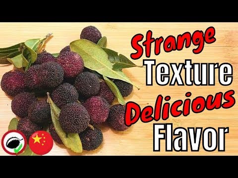 CHINESE BAYBERRY Review (Myrica rubra) - Weird Fruit Explorer in CHINA - Ep. 318
