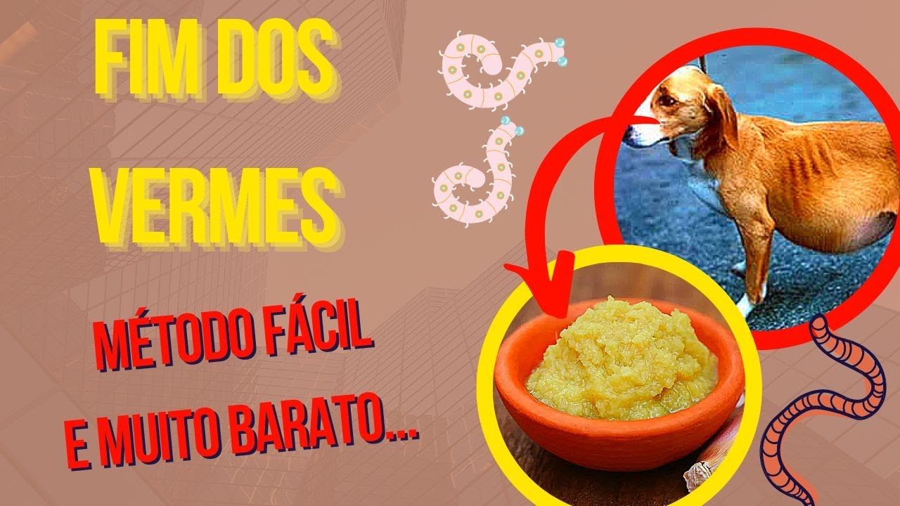 RECEITAS CASEIRAS - COMO ELIMINAR OS VERMES DO CACHORRO FILHOTE OU ADULTO - MÉTODOS NATURAIS