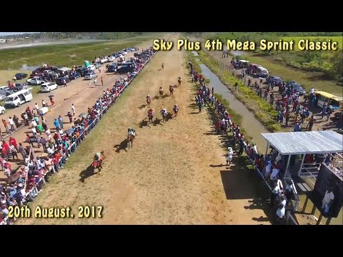 Sky Plus Inc 4th Mega Sprint Classic Race 5, 6 & 7