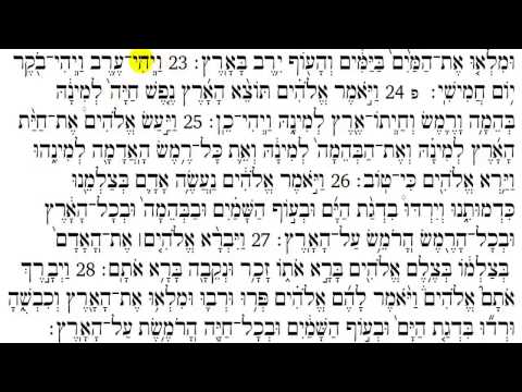 Torah Reading - Genesis Chapter 1