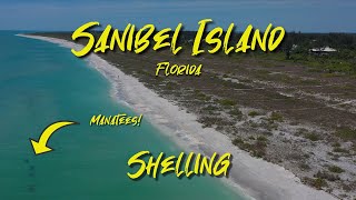 SHELLING - Everything you need to know &amp; Manatee Photobomb! - Sanibel Island, Florida- Narrated Tour