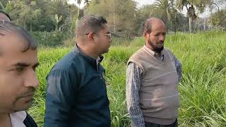 ঘাসের রাজ্যে একদিন