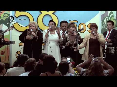 RCristal - Las Estrellas Cristal - De terciopelo negro