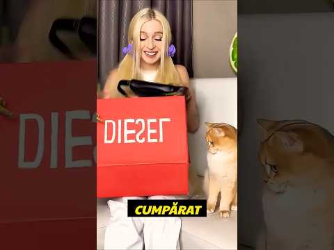 📌 A Returnat Geanta Ei Ca Să-I Cumpere Pisicuței Trei Gentile Noi 👜#shorts