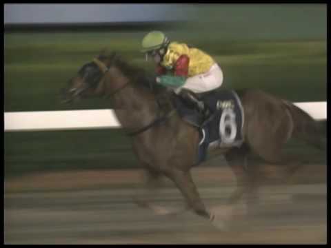 2017-05-12 Macau Meeting Race 4(0252) - THE AP LEI CHAU