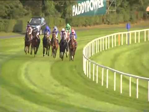 QIPCO Irish Champion Stakes 2014