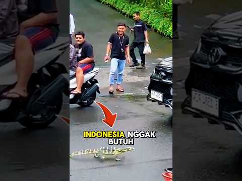 Indonesia Ga Butuh Waterboom 😅🤭