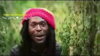 Gaja- Marijuana song- Towfiq Rassy