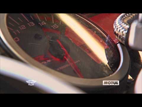 Motul  and Suzuki Endurance Racing Team