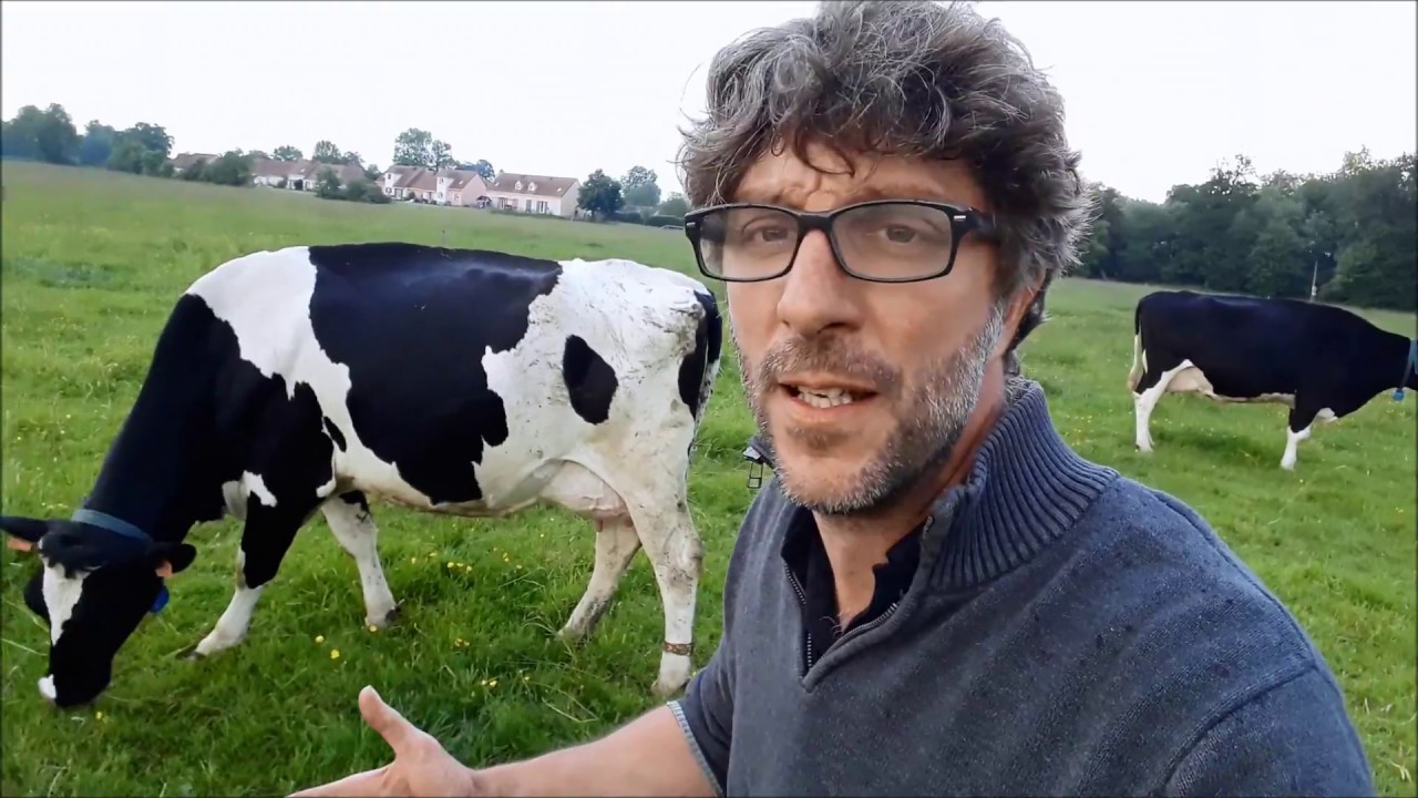 Abattage des bovins : la réponse d'Agriskippy à Rémi Gaillard