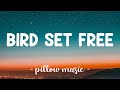 Bird Set Free Sia Lyrics