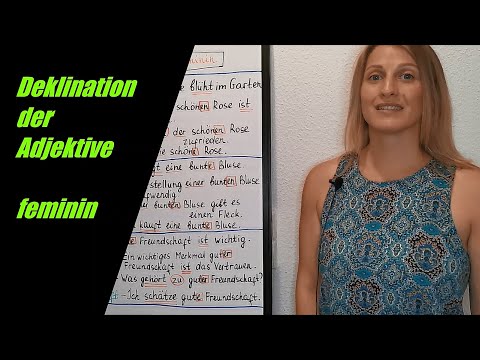Adjektivdeklination - feminin - bestimmter, unbestimmter Artikel und ohne Artikel - A2/B1