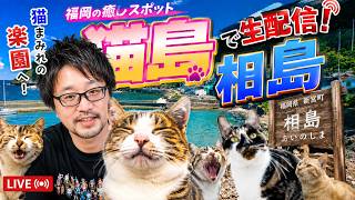 【外配信】福岡の猫島こと「相島」に行くぞ！