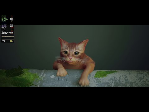 Stray PC | Alienware x17 | Max Settings | RTX 3080 | i7 11800H