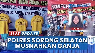 Ganja Dimusnahkan di Mapolres Sorong Selatan, Hasil dari Barang Bukti Pengedar dan Pemakai Narkoba