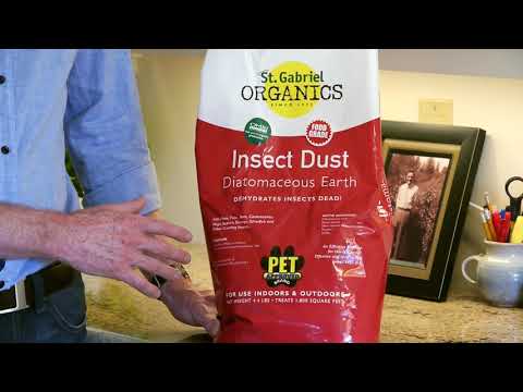 Insect Dust (Food Grade Diatomaceous Earth) Review at Eartheasy.com