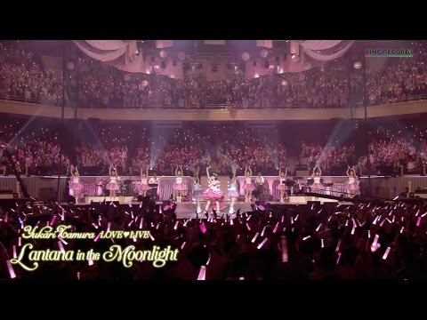 Thumbnail for video: 「田村ゆかり LOVE ♡ LIVE *Lantana in the Moonlight*」スペシャルトレーラー Thumbnail for video: 「田村ゆかり LOVE ♡ LIVE *Lantana in the Moonlight*」スペシャルトレーラー