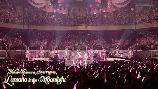 「田村ゆかり LOVE ♡ LIVE *Lantana in the Moonlight*」スペシャルトレーラー