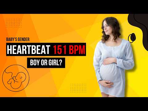 Fetal Heart Rate 151 bpm, Boy or Girl? 🤩 Baby Gender Prediction with Heartbeat